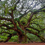 Values Bridgers Engineers UAE